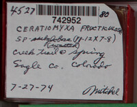 Image Associated With the Occurence